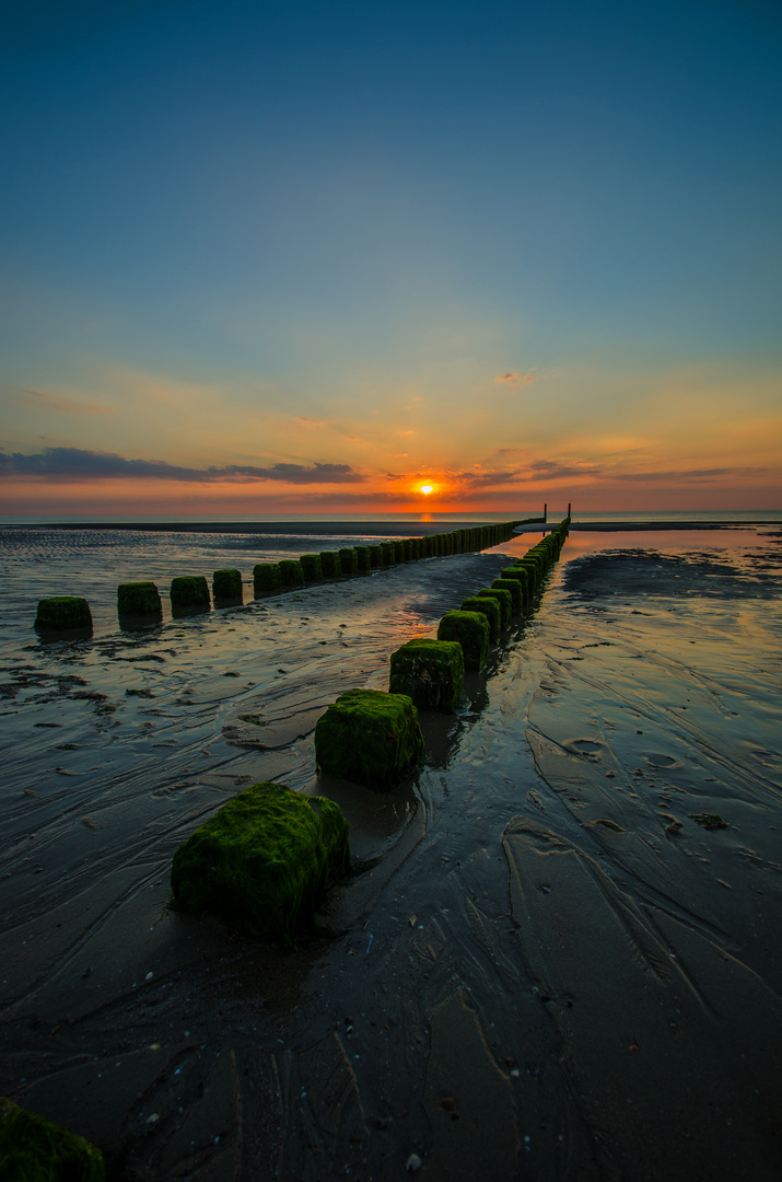 ....Buhne am Strand von Renesse....