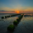 ....Buhne am Strand von Renesse....