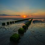 ....Buhne am Strand von Renesse....