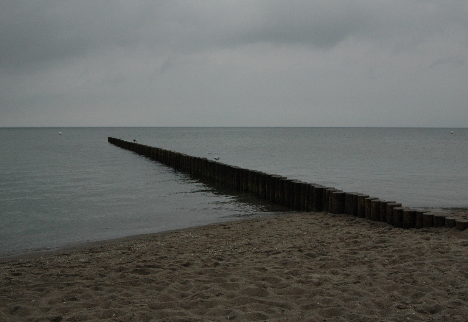 Buhne am Strand von Zingst... vor dem großen Regen.