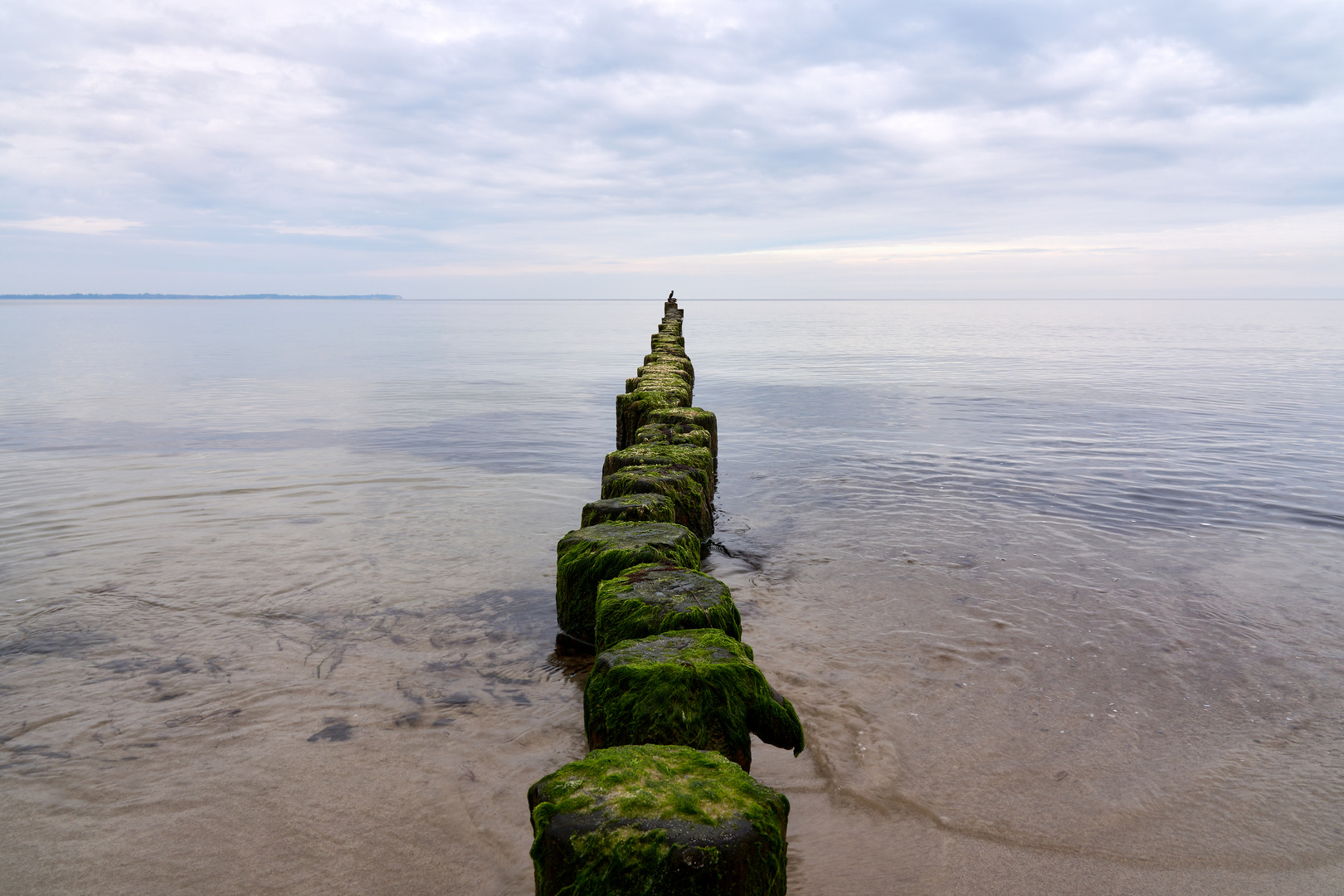 Buhne (Glowe auf Rügen)