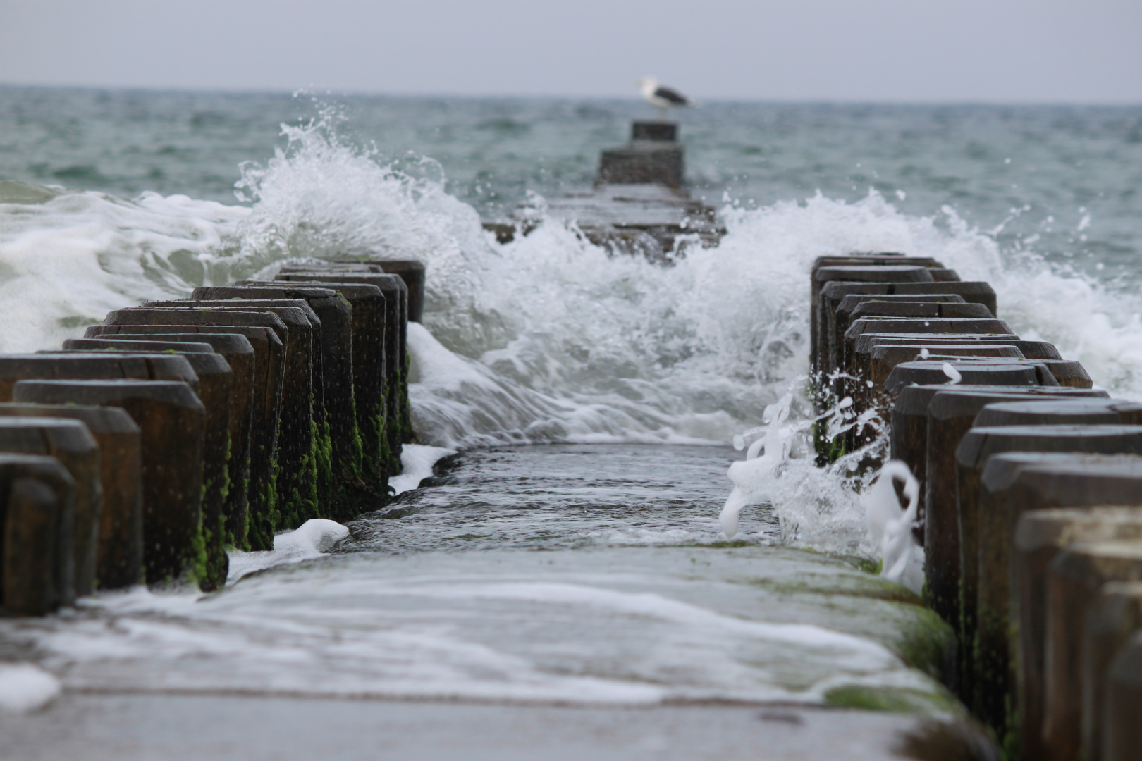 Buhne / groyne