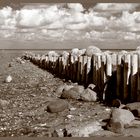 Buhnen am Morsumer Kliff auf Sylt