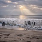 BUHNEN AM RANTUMER WESTSTRAND - SYLT FEBRUAR 2018