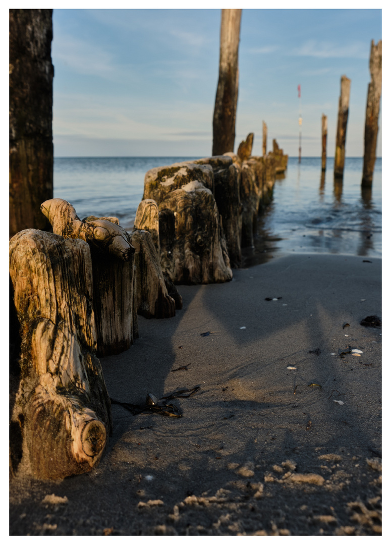 Buhnen am Strand 