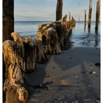 Buhnen am Strand 