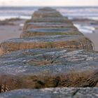 Buhnen am Strand