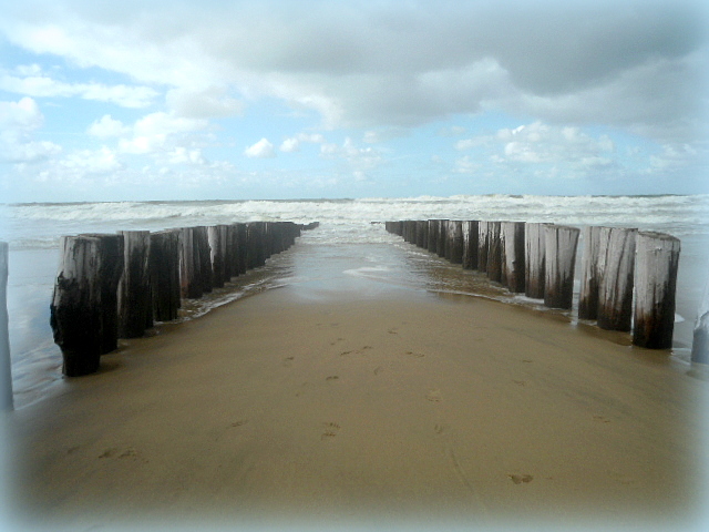 Buhnen am Strand