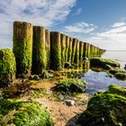 Buhnen am Strand