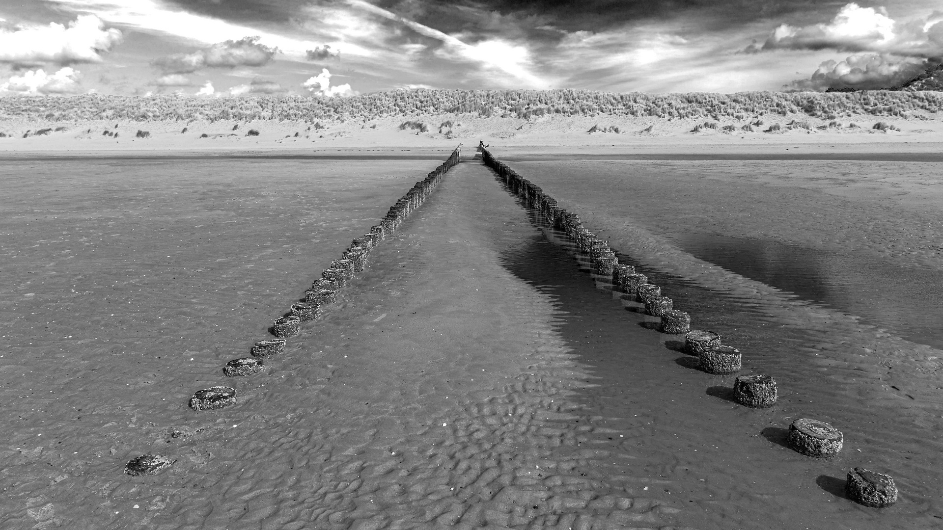 Buhnen am Strand in Zeeland