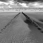 Buhnen am Strand in Zeeland