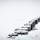 Buhnen am Strand in Zingst