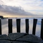 Buhnen am Strand von Domburg