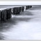 Buhnen am Strand von Graal Müritz