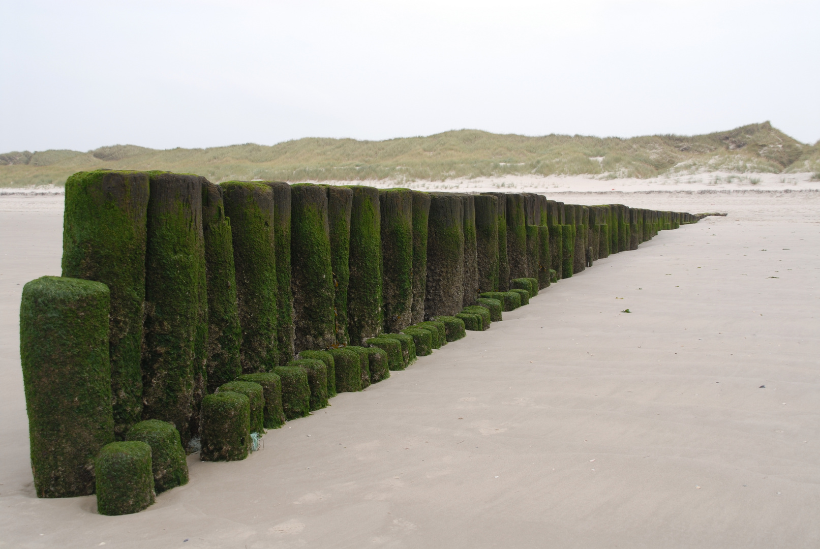 Buhnen am Strand von Norddorf