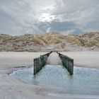 Buhnen am Strand von Renesse