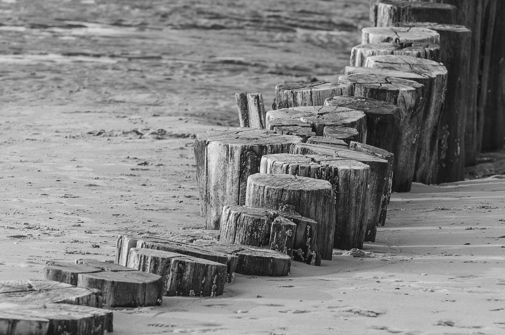 Buhnen am Strand von Wangerooge