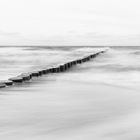 Buhnen am Strand von Zingst (2)