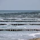 Buhnen am Strand von Zingst - Januar 2022