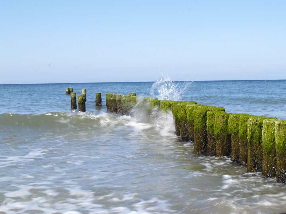 Buhnen am Wustrower Strand