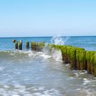 Buhnen am Wustrower Strand