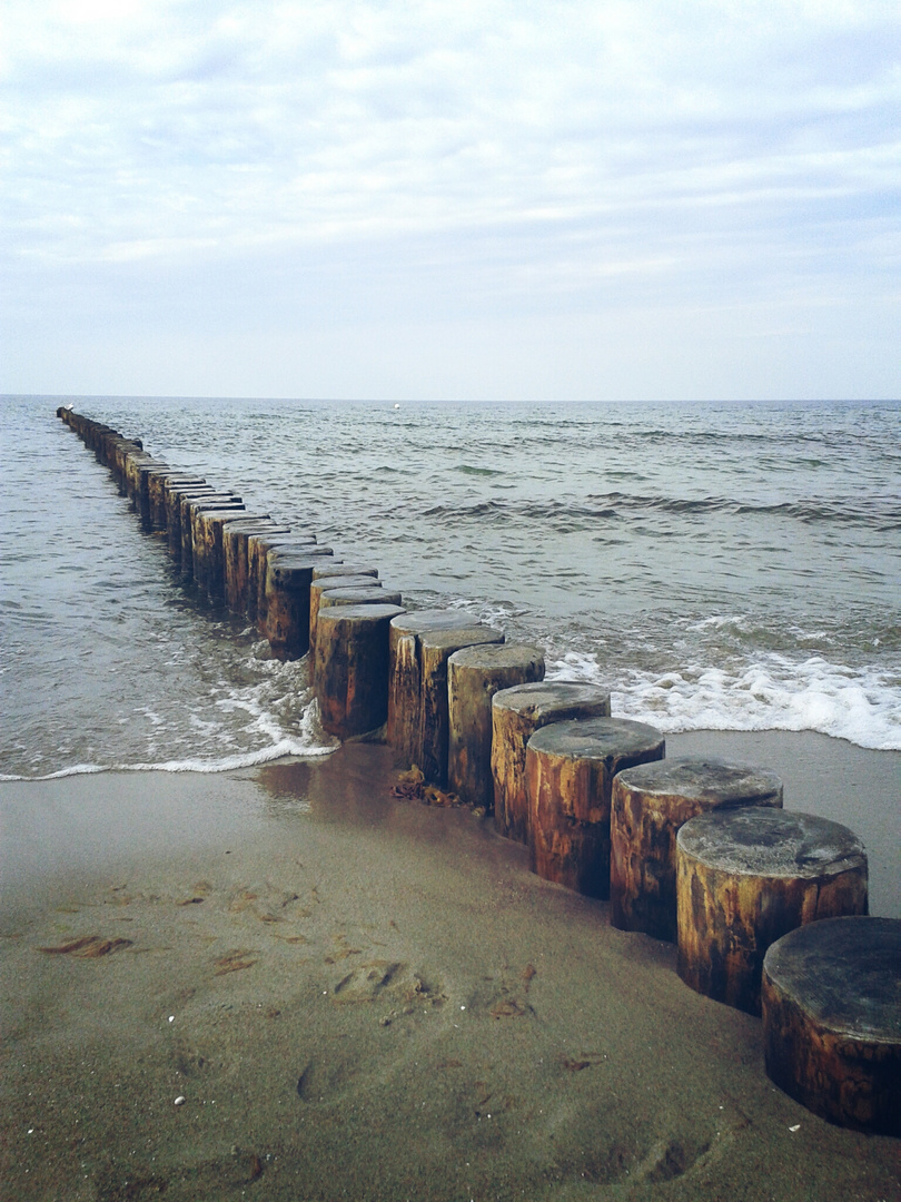 Buhnen am Zingster Ostseestrand