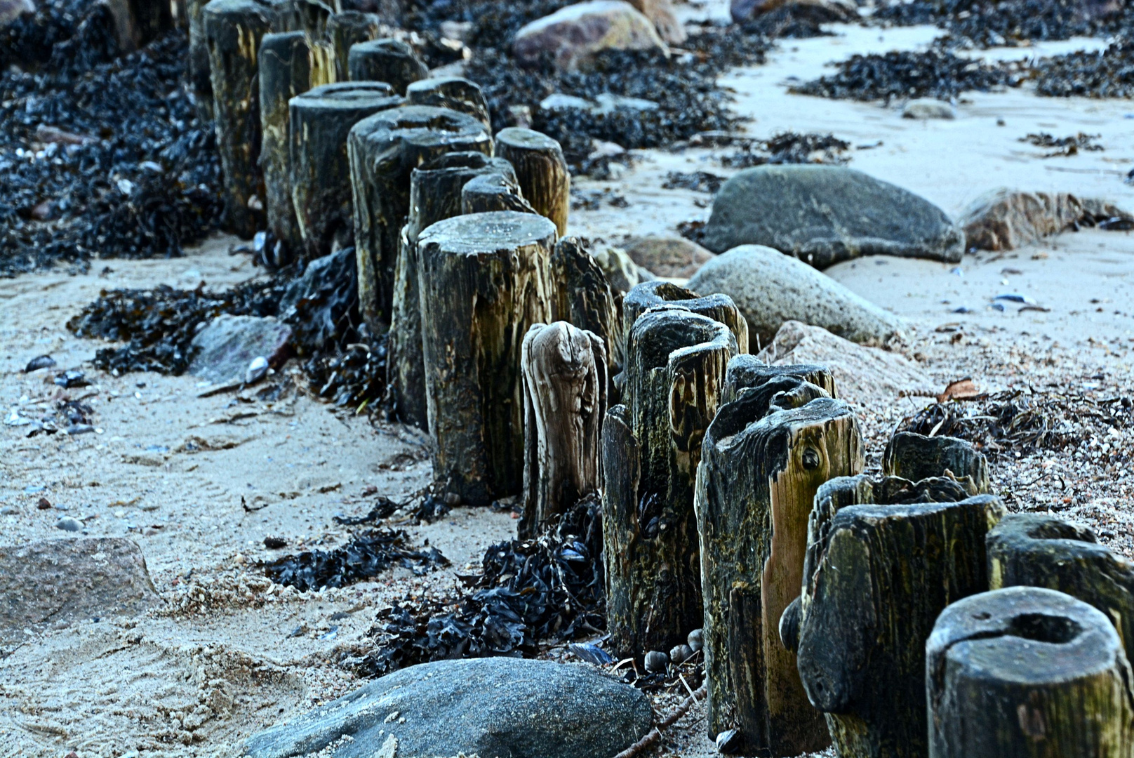 Buhnen an der Ostsee