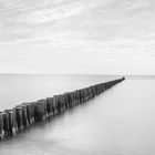 Buhnen an der Ostsee bei Zingst