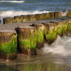 Buhnen an der Ostsee