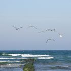 Buhnen an der Ostsee