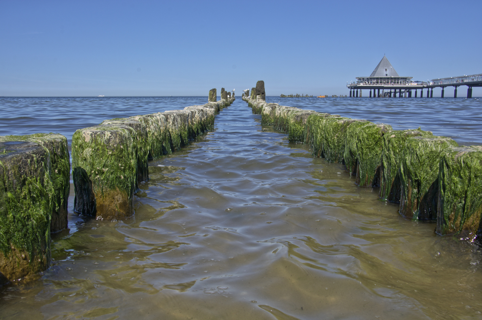 Buhnen an der Seebrücke im Sommer