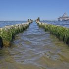 Buhnen an der Seebrücke im Sommer