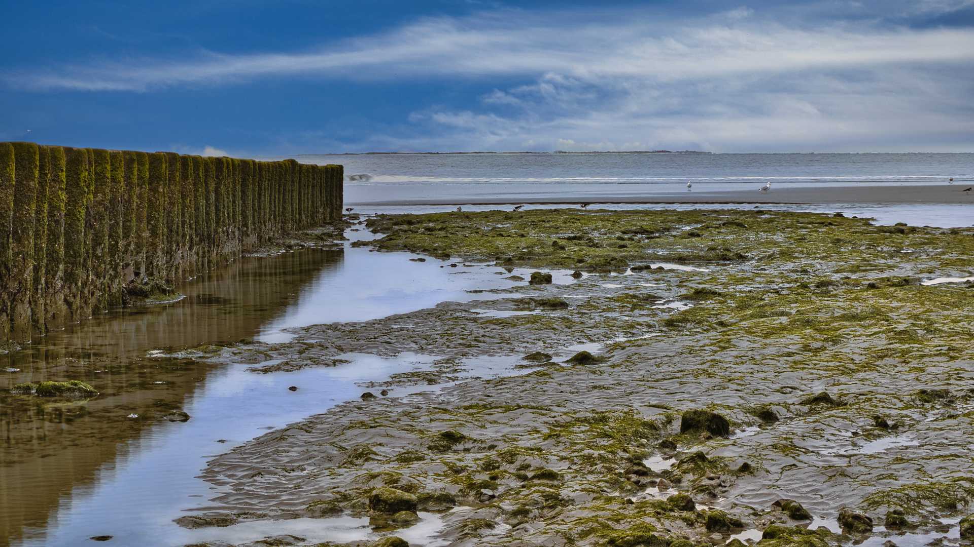 Buhnen auf Ameland bei Hollum