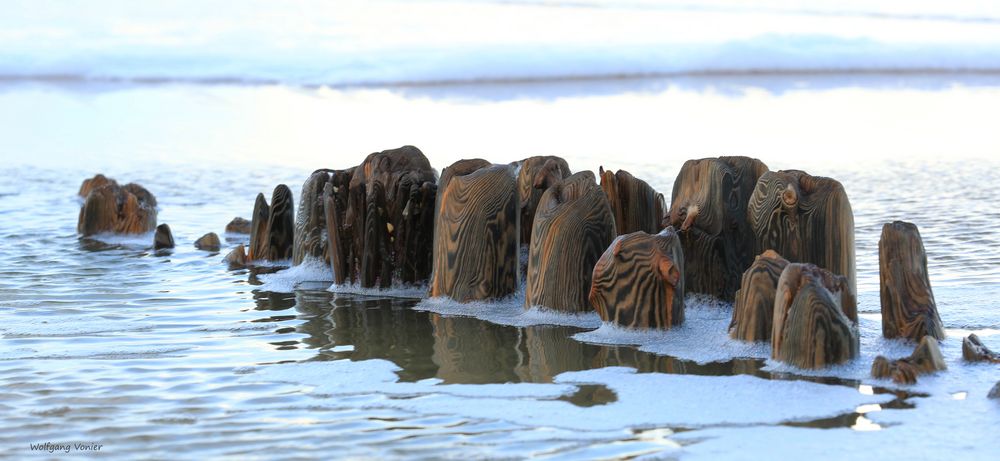 Buhnen auf Sylt