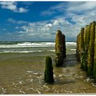 Buhnen auf Sylt