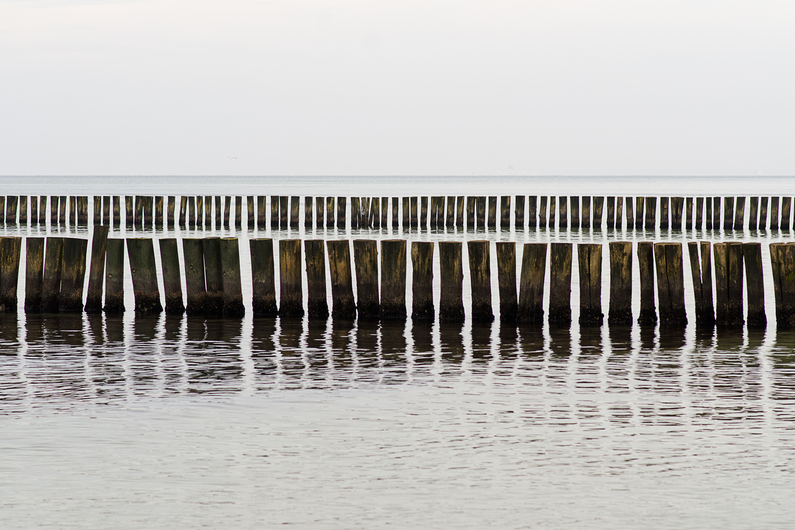 Buhnen bei Nienhagen (Warnemünde)