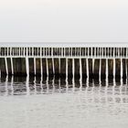 Buhnen bei Nienhagen (Warnemünde)