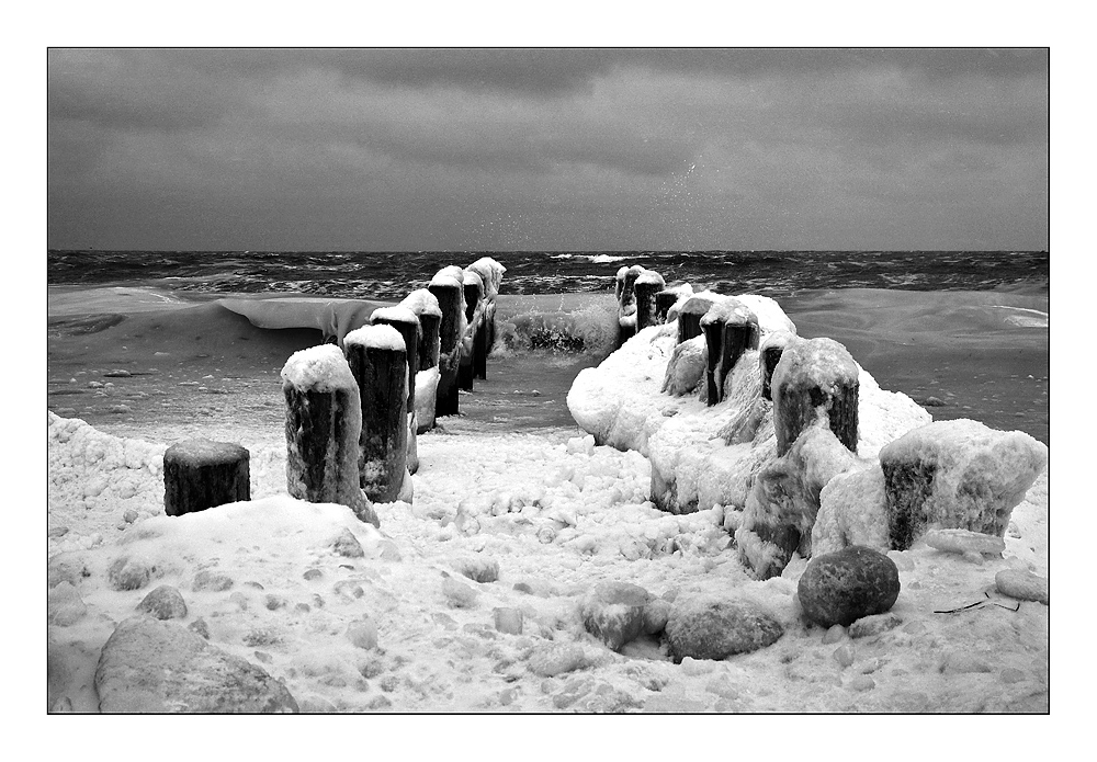 Buhnen bei Zingst