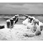 Buhnen bei Zingst