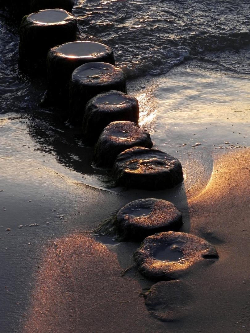 Buhnen im Licht der Morgensonne 