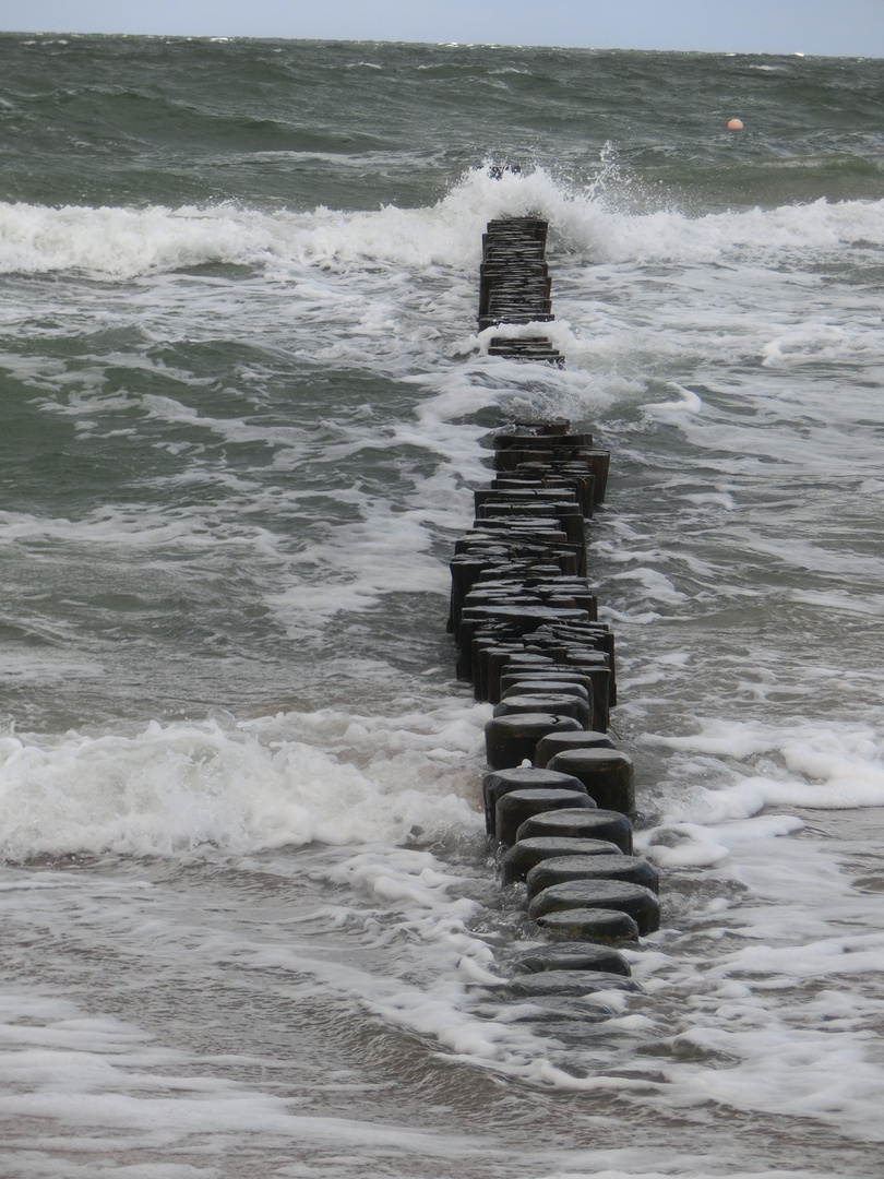 Buhnen im Meer