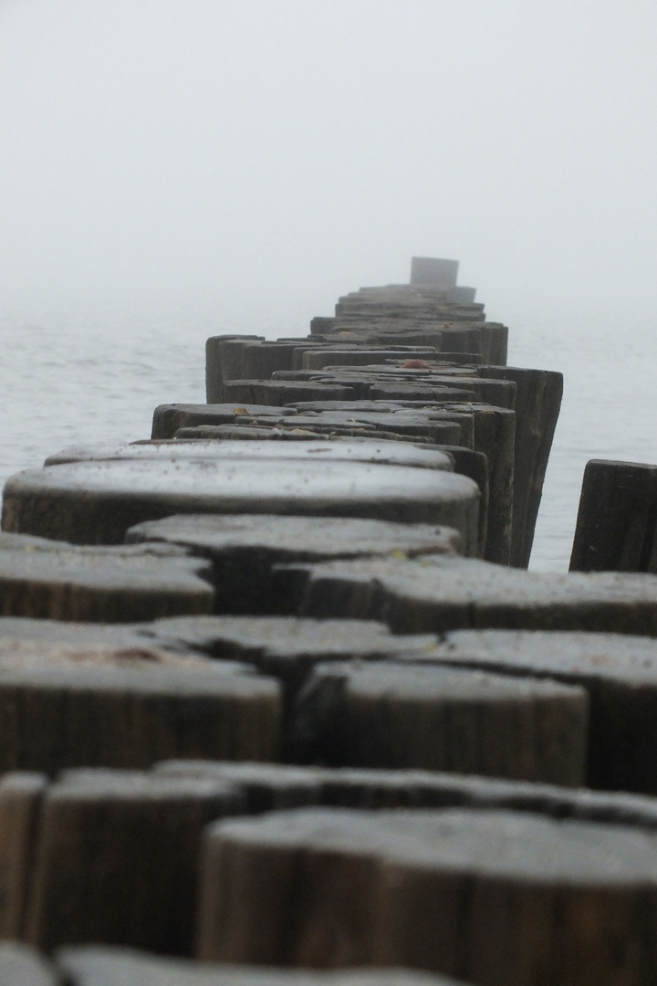 Buhnen im Nebel