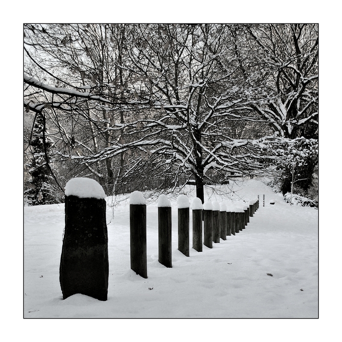 Buhnen im Park