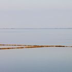 Buhnen im Watt. Sylt