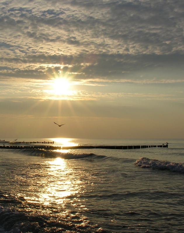 Buhnen in der Abendsonne