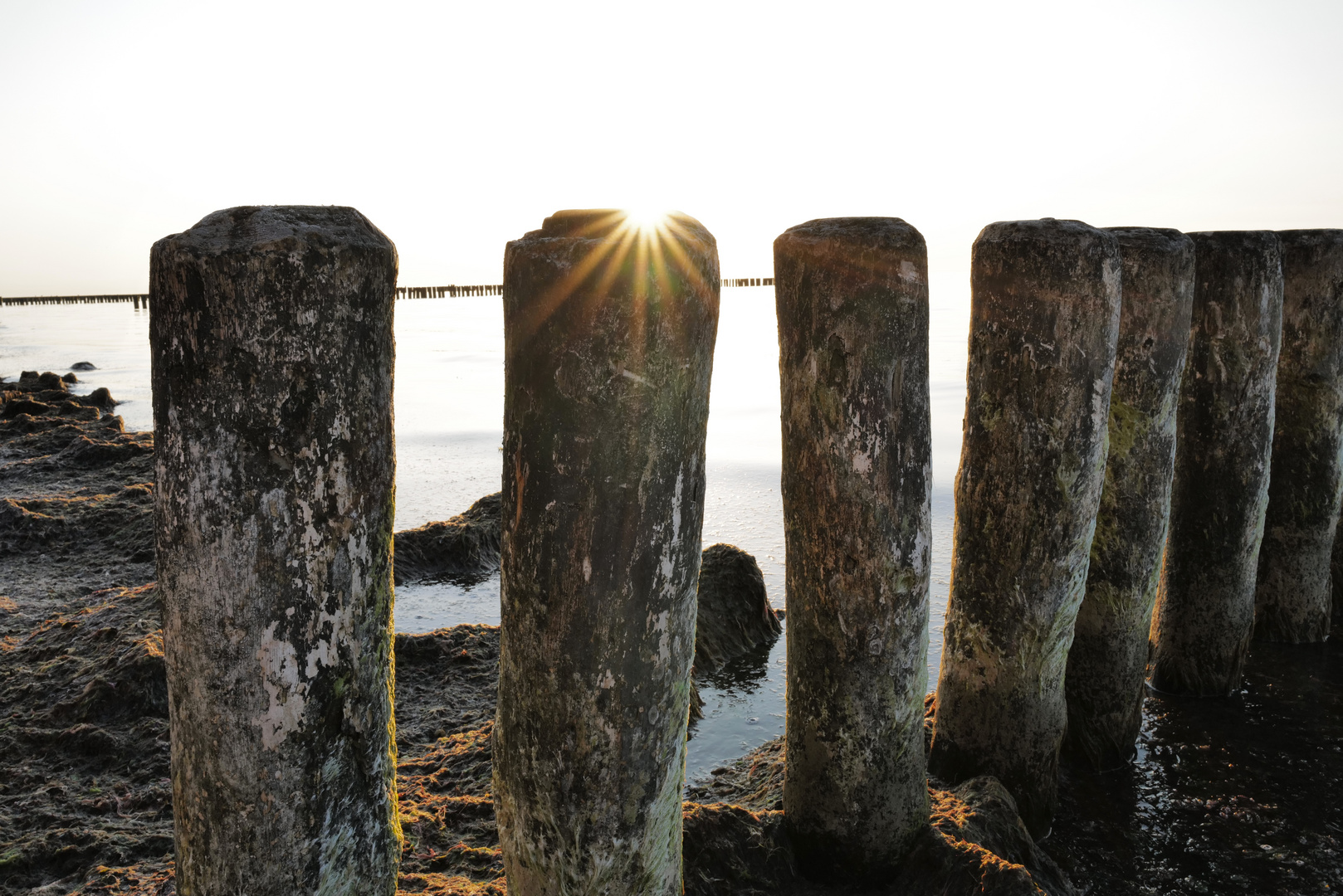 Buhnen in der Abendsonne