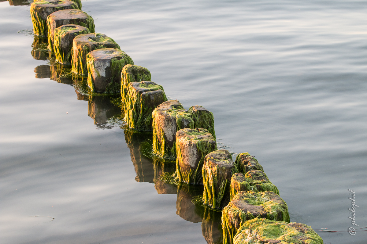 Buhnen in der Ostsee