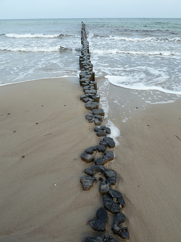 Buhnen in Warnemünde