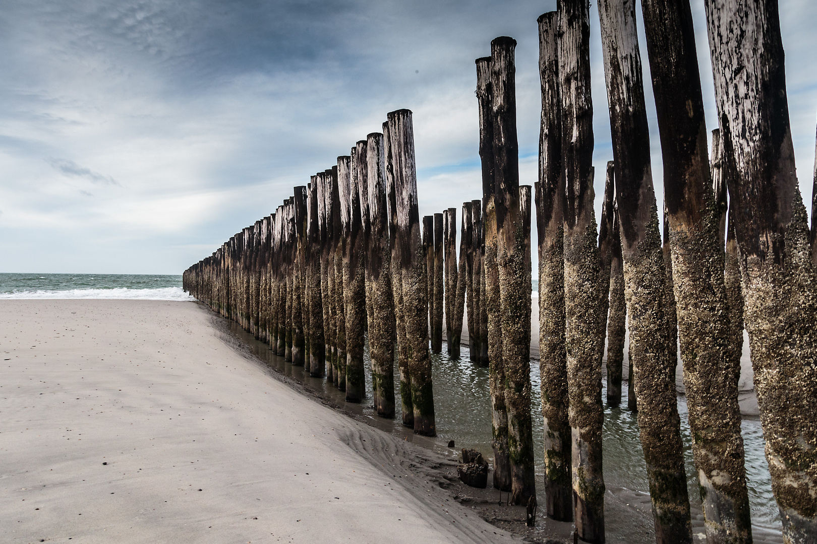 Buhnen in Zeeland