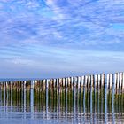 Buhnen in Zeeland auf Schouwen-Duiveland am Strand von Westenschouwen